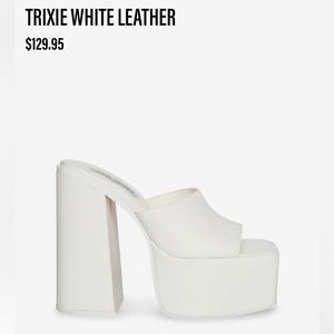 Chunky Steve Madden Heels